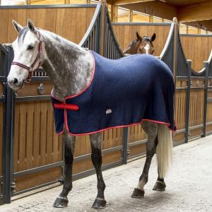 Horse Winner vente de matériel d'équitation - Chemise éponge