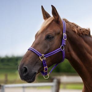 Horse Winner vente de matériel d'équitation - Licol nylon double cuir