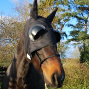 Horse Winner vente de matériel d'équitation - Bonnet oeillere fermee a oreilles