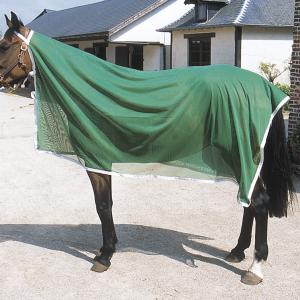 Horse Winner vente de matériel d'équitation - Chemise filet jacks