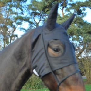 Horse Winner vente de matériel d'équitation - Bonnet nu à oreilles