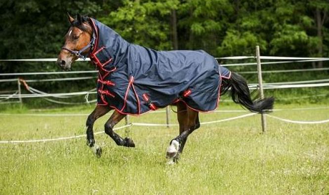 Horse Winner - Vente de matèriel d'équitation en Normandie